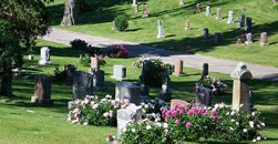 Memorial Park Cemetery